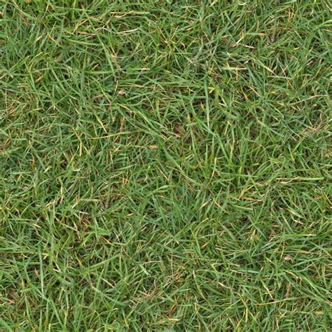 Grass Texture Tileable 2048x2048 ~ Textures on Creative Market