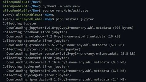 How To Install Jupyterlab On Ubuntu 2404