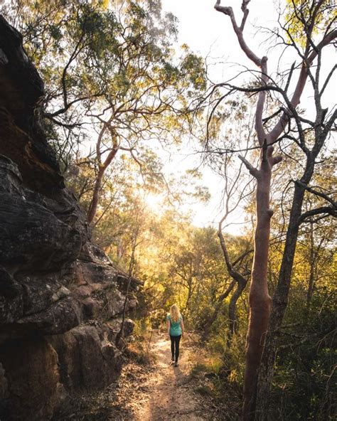 The 10 Most Beautiful Walks In Ku Ring Gai National Park Walk My World