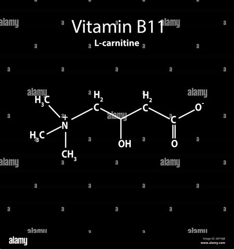 Vitamin B11 L Carnitine Molecular Chemical Formula Infographics