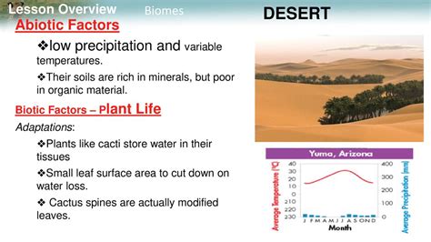 Abiotic Factors Desert