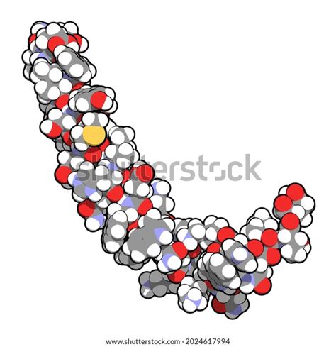 Gastric Inhibitory Polypeptide Gip Glucosedependent Insulinotropic ...