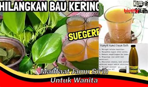 Temukan Manfaat Jamu Sirih Untuk Wanita Yang Jarang Diketahui Biotifor