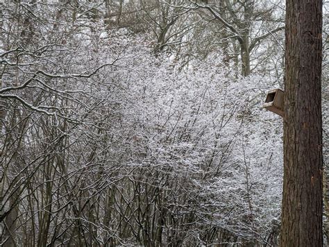 A Seasonal Glimpse Bob Harvey Cc By Sa 2 0 Geograph Britain And