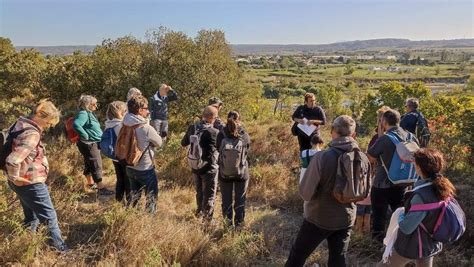 Journées Du Patrimoine Visite Commentée à Loppidum Du Marduel Midilibrefr