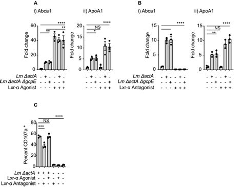 Effects of Lxr α agonist and antagonist in both ABCA1 and APOA1