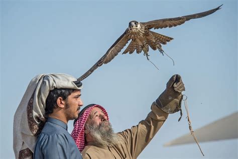 Seven Hundred Participants In The Hunt For Honours At The Fazza