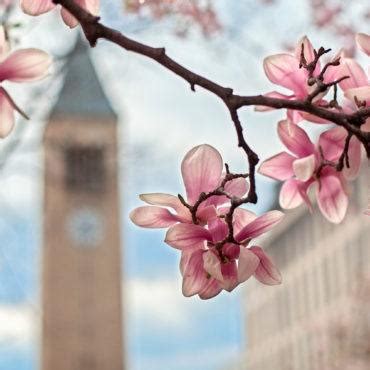 Services - Alumni, parents, and friends | Cornell University