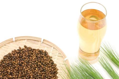 Benefits Of Barley Tea Kobashi Mugicha Hakubaku Usa