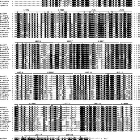 Amino Acid Sequence Alignment Of Bm21 Homologues Sequence Alignment