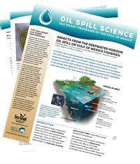 Fact Sheet Sea Grant Brochure On Oil Spill Impacts On Fisheries