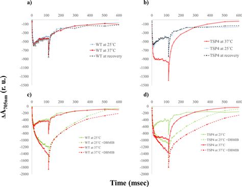 Light Induced P700 Photo Oxidation And P700 Reduction Of The Wt And