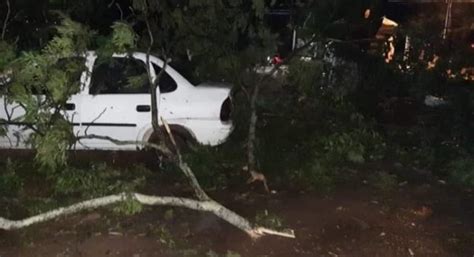 Video Temporal con caída de granizos causa destrozos en Caaguazú