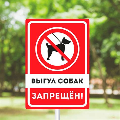 Табличка на металле информационная предупреждающая "Выгул собак ...