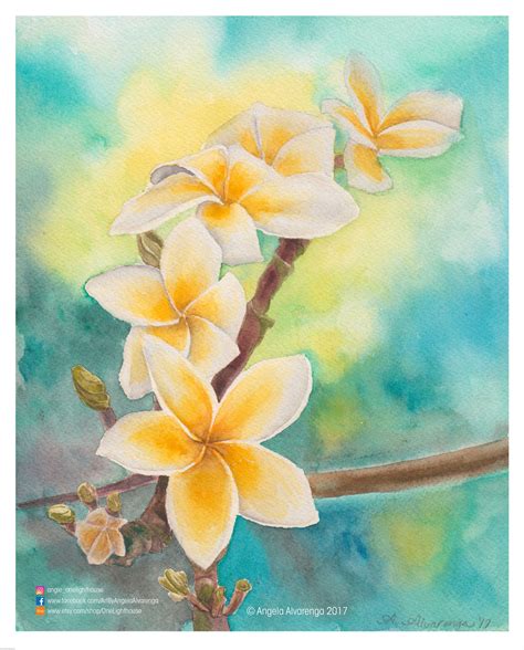 Plumeria Painting Print - Etsy