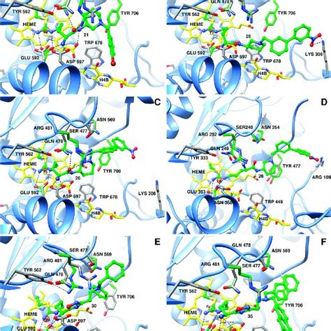 The Best Docking Pose Of A Compound 21 In NNOS B Compound 26 In