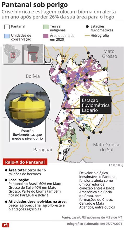 Biodiversidade Brasileira On Twitter Pantanal Tem Praticamente