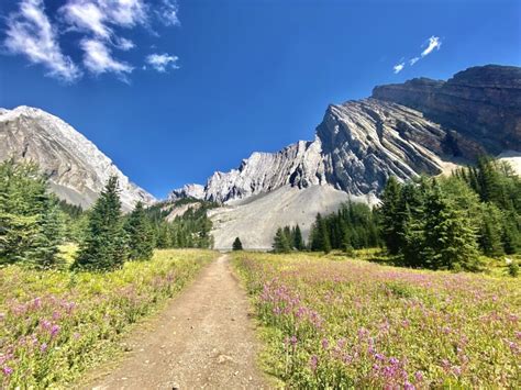 Peter Lougheed Provincial Park - The Holistic Backpacker