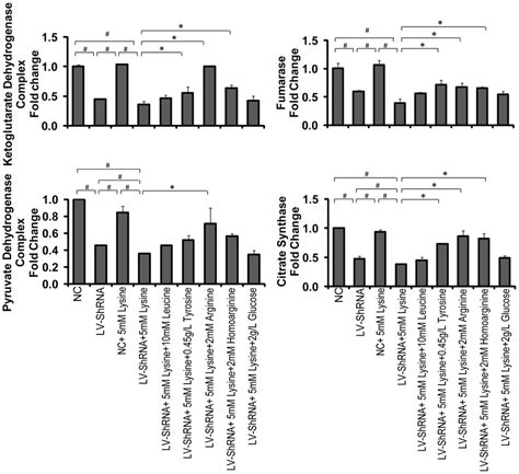 Gene Expression Of Tca Cycle Related Enzymes The Transcript Levels Of