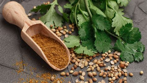 What Is Coriander And What Does It Have To Do With Cilantro