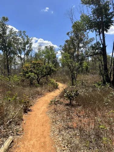 Best Hikes and Trails in Floresta Nacional de Brasília AllTrails