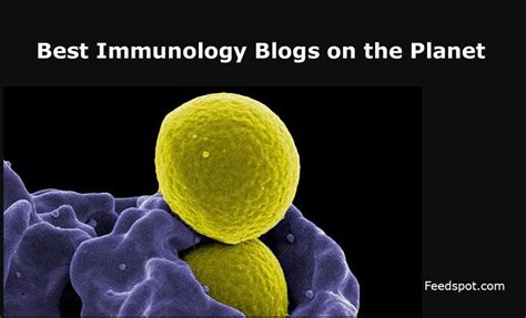 20 Best Immunology Blogs And News Websites To Follow In 2024