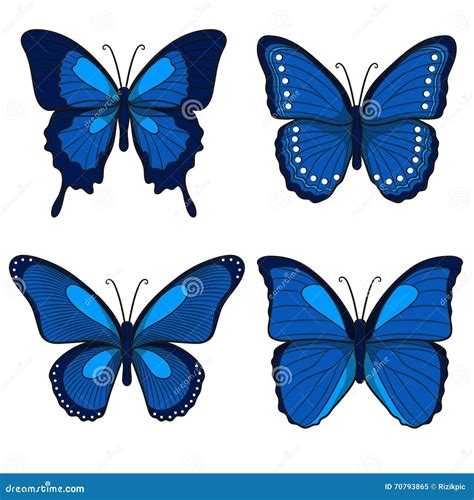 Vector Set With Six Butterflies 59975081