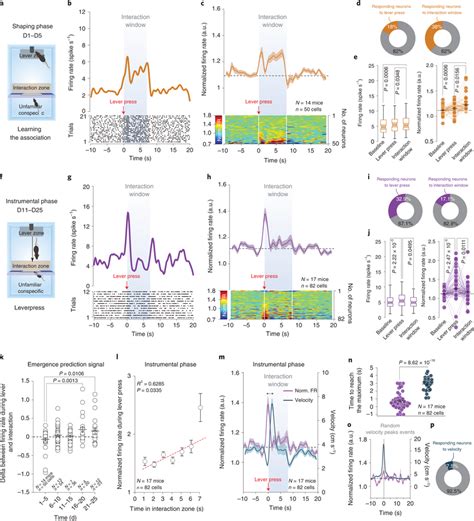 Vta Da Neuron Activity Encodes The Positive Value Of Social Interaction