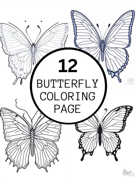 Free Printable Butterfly Colouring Pages Butterfly Coloring, 42% OFF