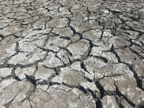 S Cheresse Dans Les Landes L Tat De Catastrophe Naturelle Reconnu