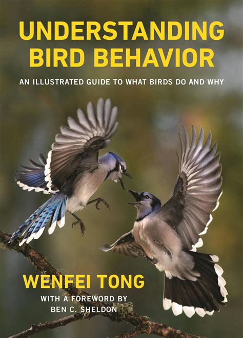 Understanding Bird Behavior | Princeton University Press