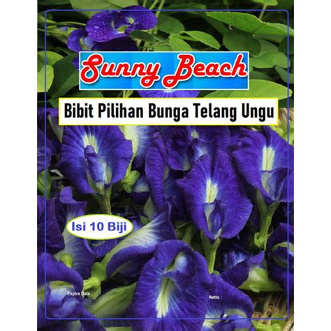 Jual Bibit Pilihan Bunga Telang Ungu Benih Kembang Telang Bibit