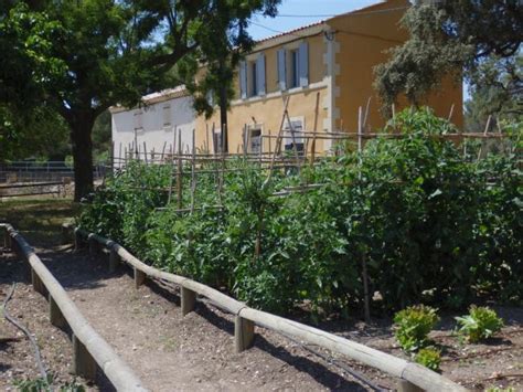 Visite Guid E De La Ferme P Dagogique Martigues