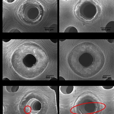 A L 3d Printed Structures Of The Twelve P Surface Tpms Based Lattices