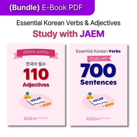 Essential Korean Vocabulary E Book Set Jaem Korean