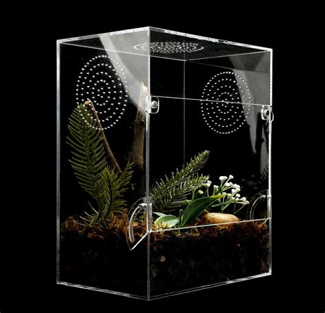 Amazon Jumping Spider Enclosure Front Opening Insect Snail Tree