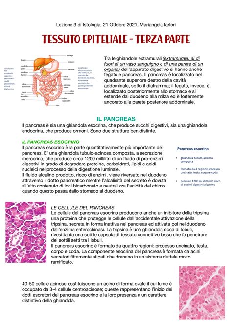 Istologia Tessuto Epiteliale Parte Marchetti Lezione Di
