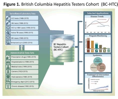 Women And The 2019 Hepatitis C Cascade Of Care Findings From The Bc Hepatitis Testers Cohort