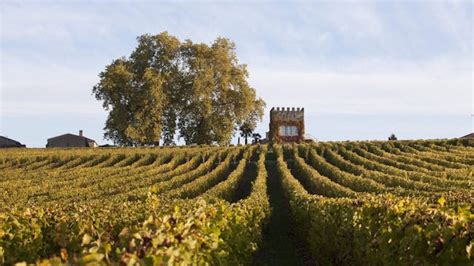 Sauternes | Bordeaux Wine Regions | Wine Folly