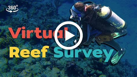 360 Video Of Coral Reef Scientists At Work Woods Hole Oceanographic