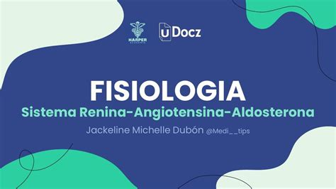 Sistema Renina Angiotensina Aldosterona Medi Tips Udocz