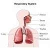 Respiratory Disorders Treatment in New Delhi | ID: 8875303162