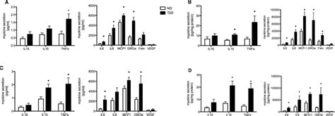 Myokine Secretion From Differentiated HSMC Obtained From Non Diabetic