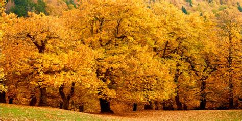 Foliage In Citt Migliori Mete Per Lo Spettacolo D Autunno