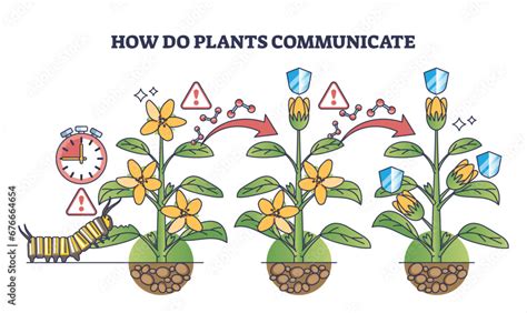 How Do Plants Communicate With Each Other For Self Protection Outline