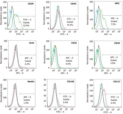 Unmodified Autologous Stem Cells At Point Of Care For Chronic