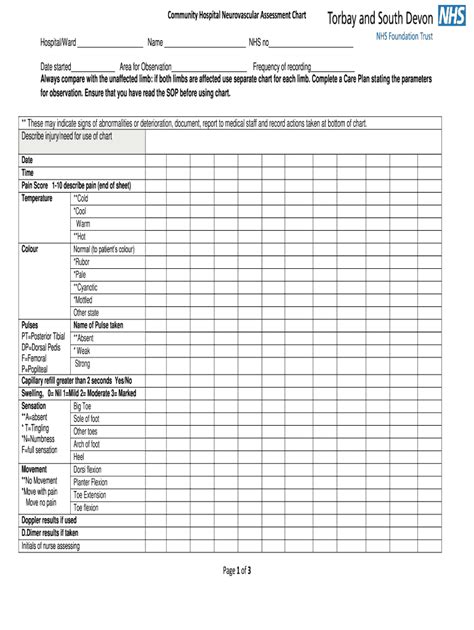 Neurovascular Assessment Chart Fill Online Printable Fillable