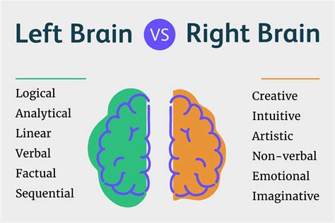 What It Means To Be Left Brained Vs Right Brained