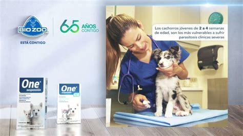 Gu A Para Elegir El Mejor Desparasitante Para Perros Actualizado