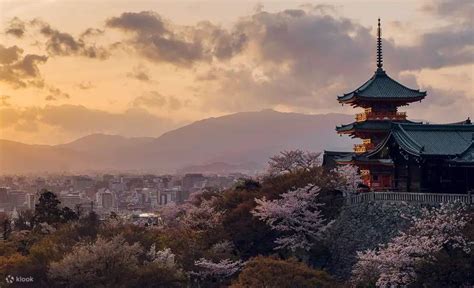 KyotoKiyomizu Dera Temple Kinkaku Ji Temple And Arashiyama Day Tour